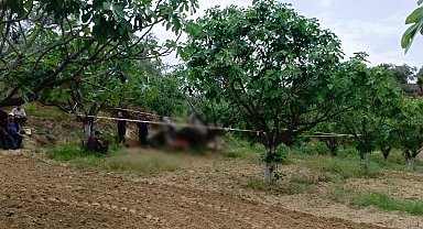 Germencik'te devrilen traktörün altında kalan şahıs hayatını kaybetti