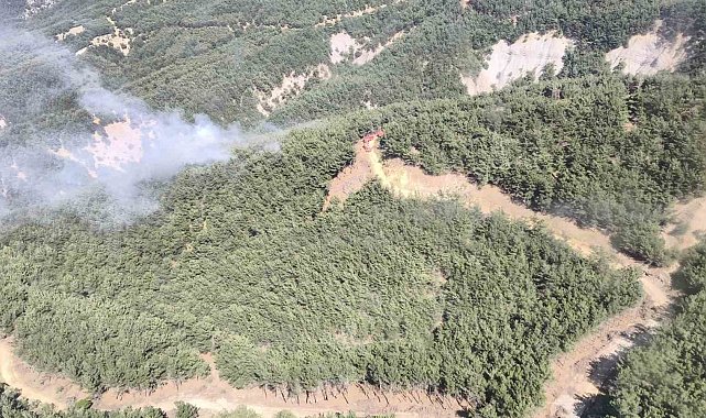 Gökçeada'da orman yangını