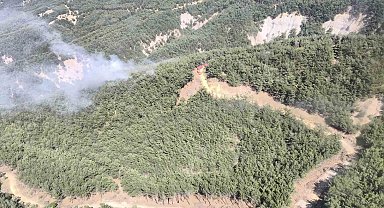 Gökçeada'da orman yangını