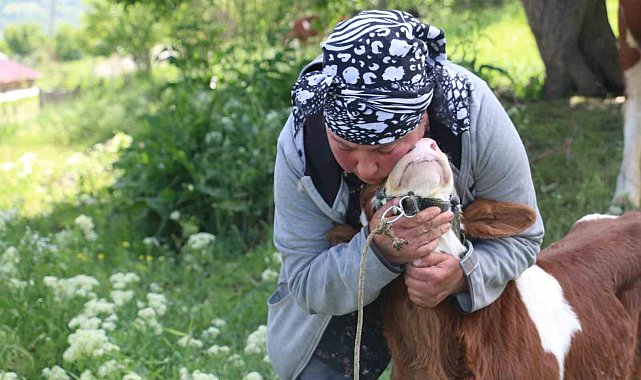 Gürcistanlı Nino, Erzincan çiftçiliğine renk katıyor
