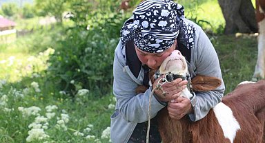 Gürcistanlı Nino, Erzincan çiftçiliğine renk katıyor