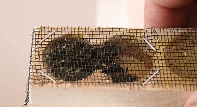 Haciz gelen kurumun başkanından açıklama: "Alacağımız-vereceğimiz, ticari bir ilişkimiz yok"