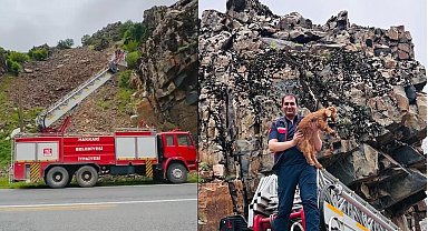 Hakkari'de kayalıklarda mahsur kalan keçi yavrusu kurtarıldı