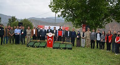 Hakkari'de üreticiye fide desteği