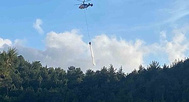 Hatay'da orman yangını