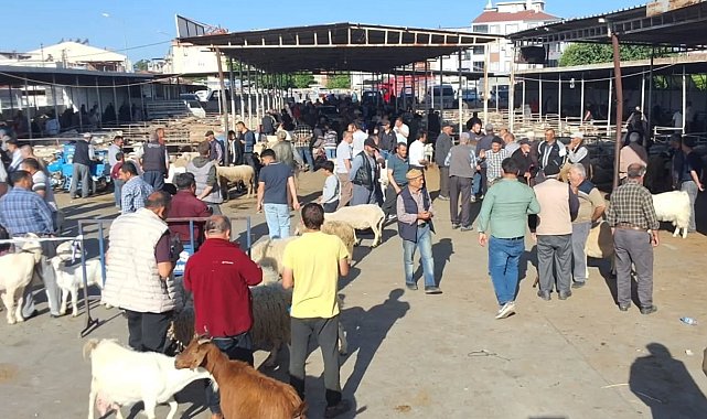 Havran'da Kurban Bayramı öncesi hayvan pazarı denetlendi