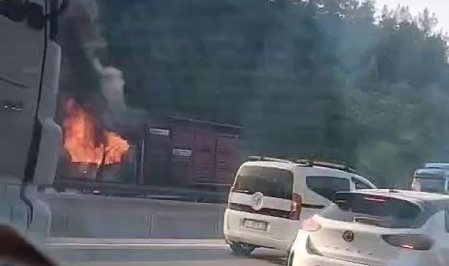 Hayvan yüklü kamyon alevlere teslim oldu