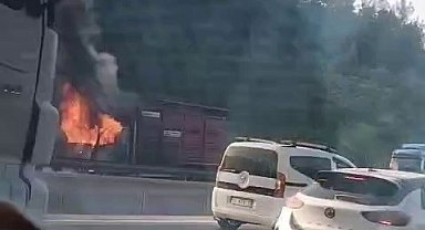 Hayvan yüklü kamyon alevlere teslim oldu