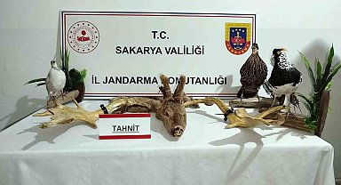 Hayvanat bahçesi gibi ev: Evinden çıkanlar hayrete düşürdü