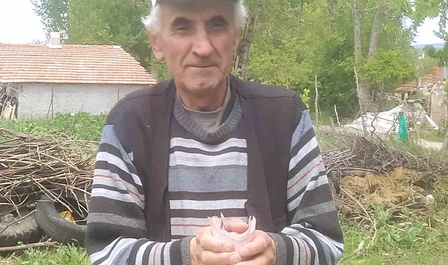 Hisarcık'ta emekli işçiden "İnsanlık Ölmemiş" dedirten davranış: Bulduğu bir tomar parayı jandarmaya teslim etti