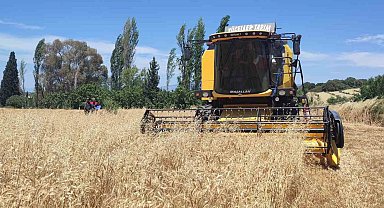 Hububatta hasat dönemi başladı