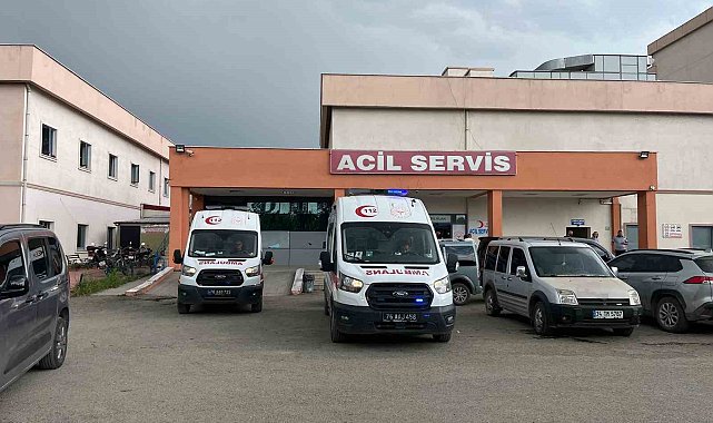 Iğdır'da çifte cinayet: İki yengesini öldürdü