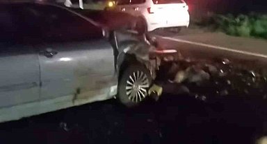 Iğdır'da otomobil hayvan sürüsüne çarptı: 25 koyun telef oldu