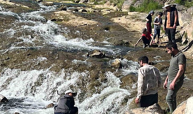 İnci kefalinin göçü yerli ve yabancı turistlerin ilgi odağı oldu