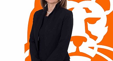 ING'nin iklim hedefleri, Bilimsel Tabanlı Hedefler Girişimi tarafından doğrulandı