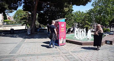 İstanbul'da kedi taklidi yapan martıların mama avı kamerada