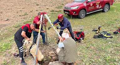 İtfaiye ekipleri kuyuya düşen koyunu kurtardı