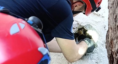 İzmir İtfaiyesi sıkışan kediyi kurtardı!