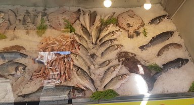 İzmir'de su ürünleri denetimlerinde ceza yağdı