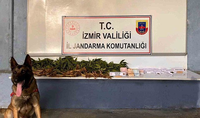 İzmir'de torbacılara 'Atik' baskını