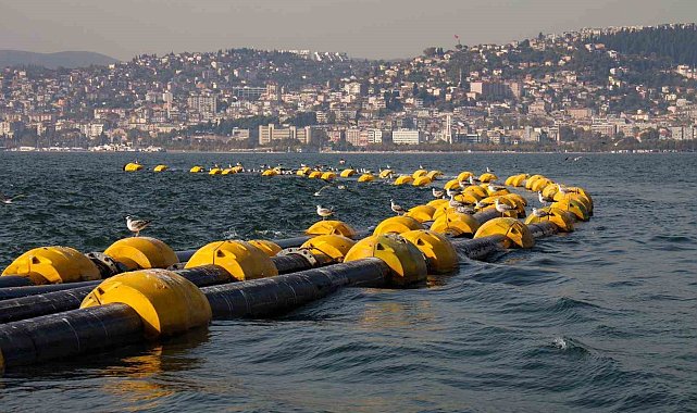 İzmit Körfezi'nde temizlik çalışmaları sonuç verdi: 2 saatte 100 kiloluk mırmır yakalandı