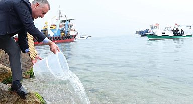 İzmit Körfezi'nde ekosisteme destek! 6 bin balık körfezle buluştu