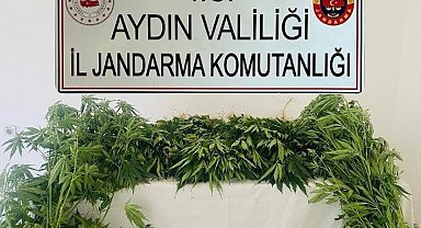 Jandarma ekipleri uyuşturucuya geçit vermedi