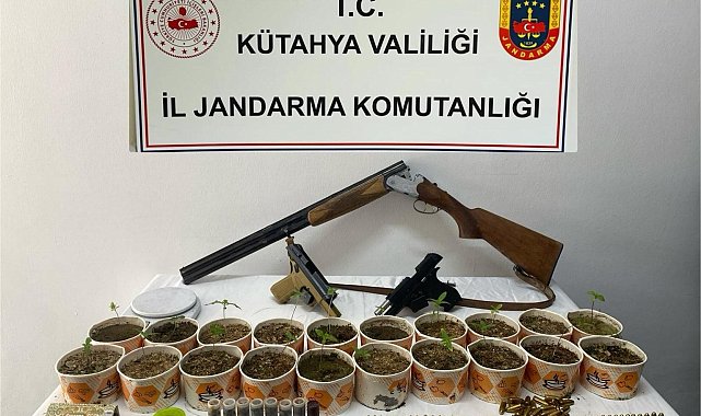 Jandarmadan kenevir operasyonu