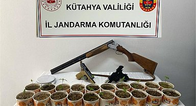 Jandarmadan kenevir operasyonu