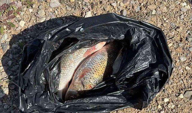 Kaçak Balık avı yapan 2 kişi yakalandı