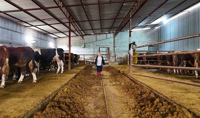 Kadınsın yapamazsın dediler, çiftlik kurdu