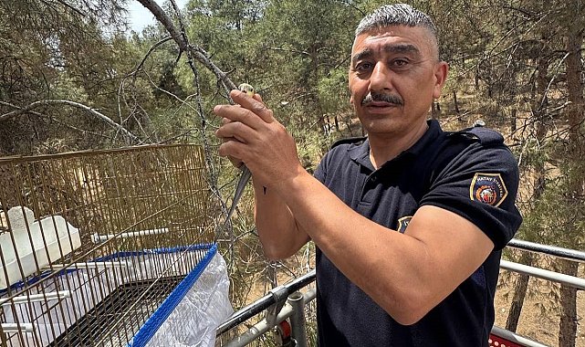 Kafesinden kaçan muhabbet kuşunu itfaiye yakaladı