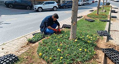 Kağıthane'de yeşil alanlarda bakım çalışması yapıldı