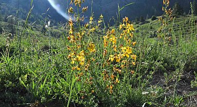 Kahramanmaraş Geben Vadisi Milli Park ilan edildi
