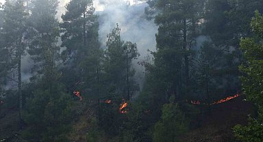 Kahramanmaraş'ta orman yangını