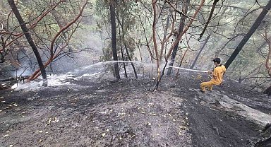 Kahramanmaraş'taki orman yangını kontrol altına alındı: 5,5 hektar zarar gördü