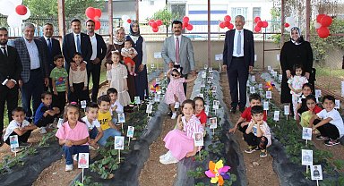 Kahta'da miniklerden çilek hasadı
