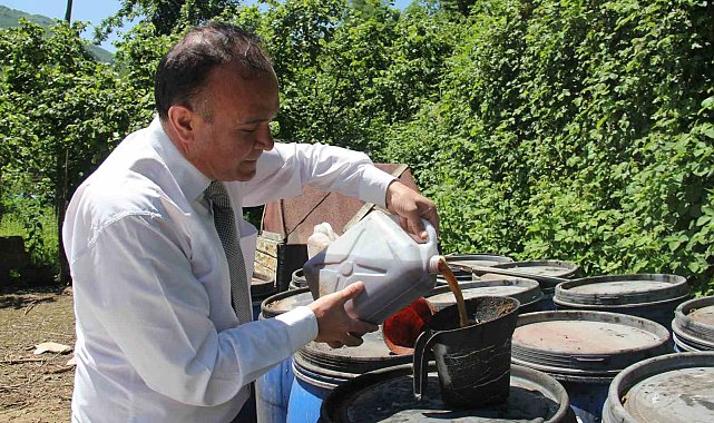 Kahverengi kokarcaya sıvı balık gübreli önlem