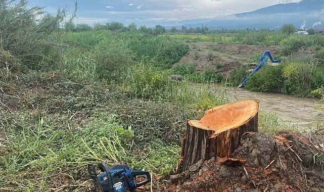 Kamuya ait alanda ağaç kesen şüpheliler yakalandı