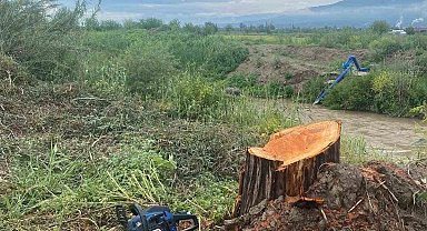 Kamuya ait alanda ağaç kesen şüpheliler yakalandı