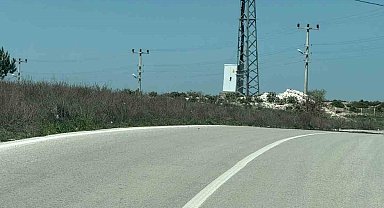 Kaplumbağalara karşı sürücüler uyarıldı