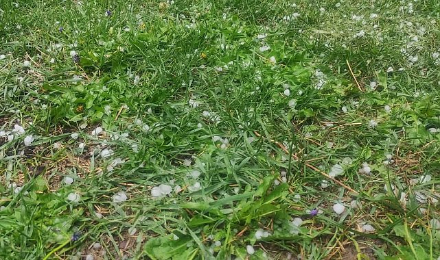 Karabük'te dolu yağışı hayatı olumsuz etkiledi
