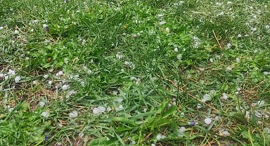 Karabük'te dolu yağışı hayatı olumsuz etkiledi