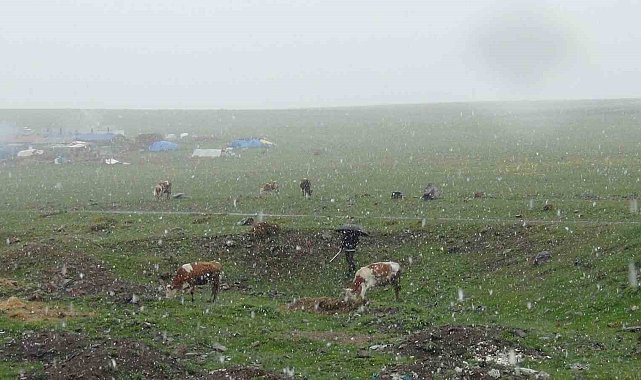 Kars'ta Mayıs karı şaşırttı