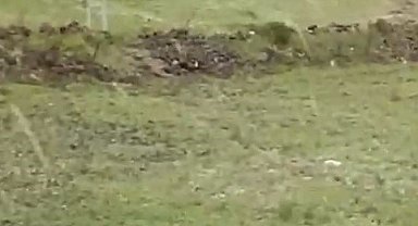 Kars'ta şiddetli rüzgar çatıları uçurdu: Korku dolu anlar kamerada