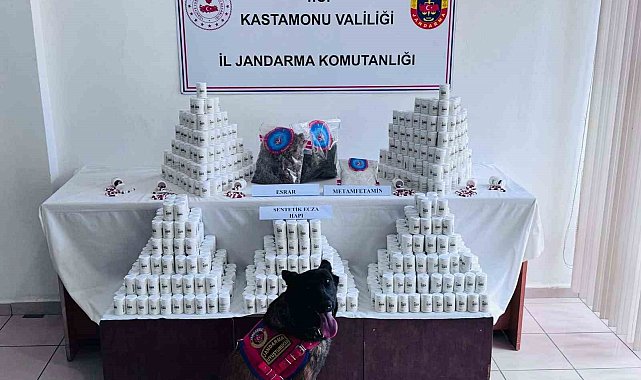Kastamonu'da uyuşturucu operasyonu: 1 tutuklama
