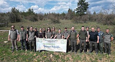 Kastamonu'da yaban hayatı için ormanlık alana fidan dikildi
