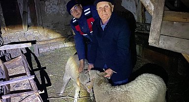 Kayıp hayvanları jandarma buldu