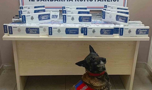 Kayseri'de bin 400 paket kaçak sigara yakalandı