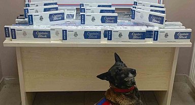 Kayseri'de bin 400 paket kaçak sigara yakalandı
